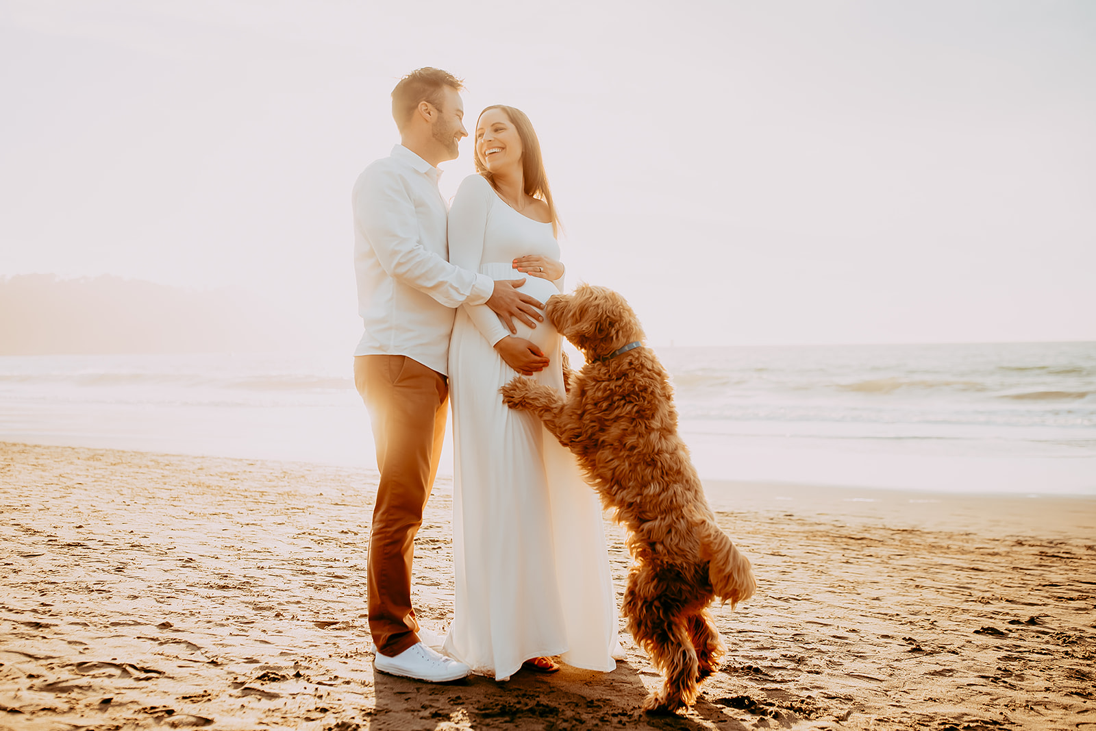 san francisco maternity photography with dog