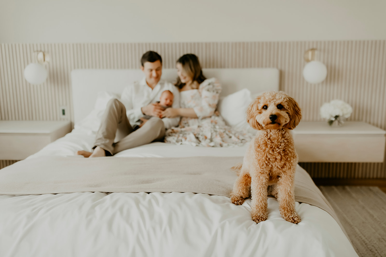 Shefali Parekh | Heartwarming In-Home Newborn Session: Maggie & Alex Black in Cow Hollow, San Francisco Couple sitting on the bed with dog in the front