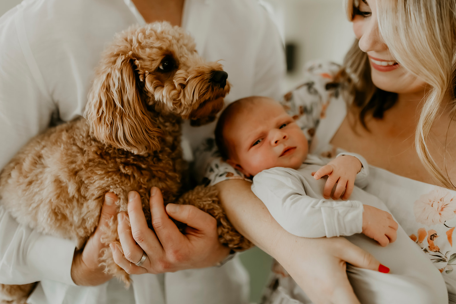 Shefali Parekh | Heartwarming In-Home Newborn Session: Maggie & Alex Black in Cow Hollow, San Francisco Couple holding their newborn baby & dog
