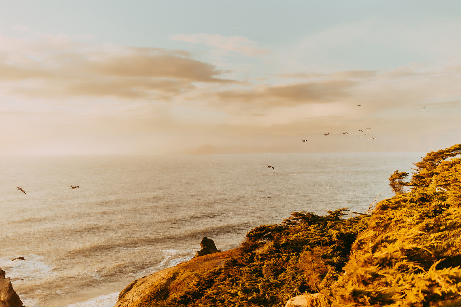 Shefali Parekh | Capturing the Magic of Golden Hour: Why Timing is Everything for Your Family Photoshoot Golden Hour Family Photography