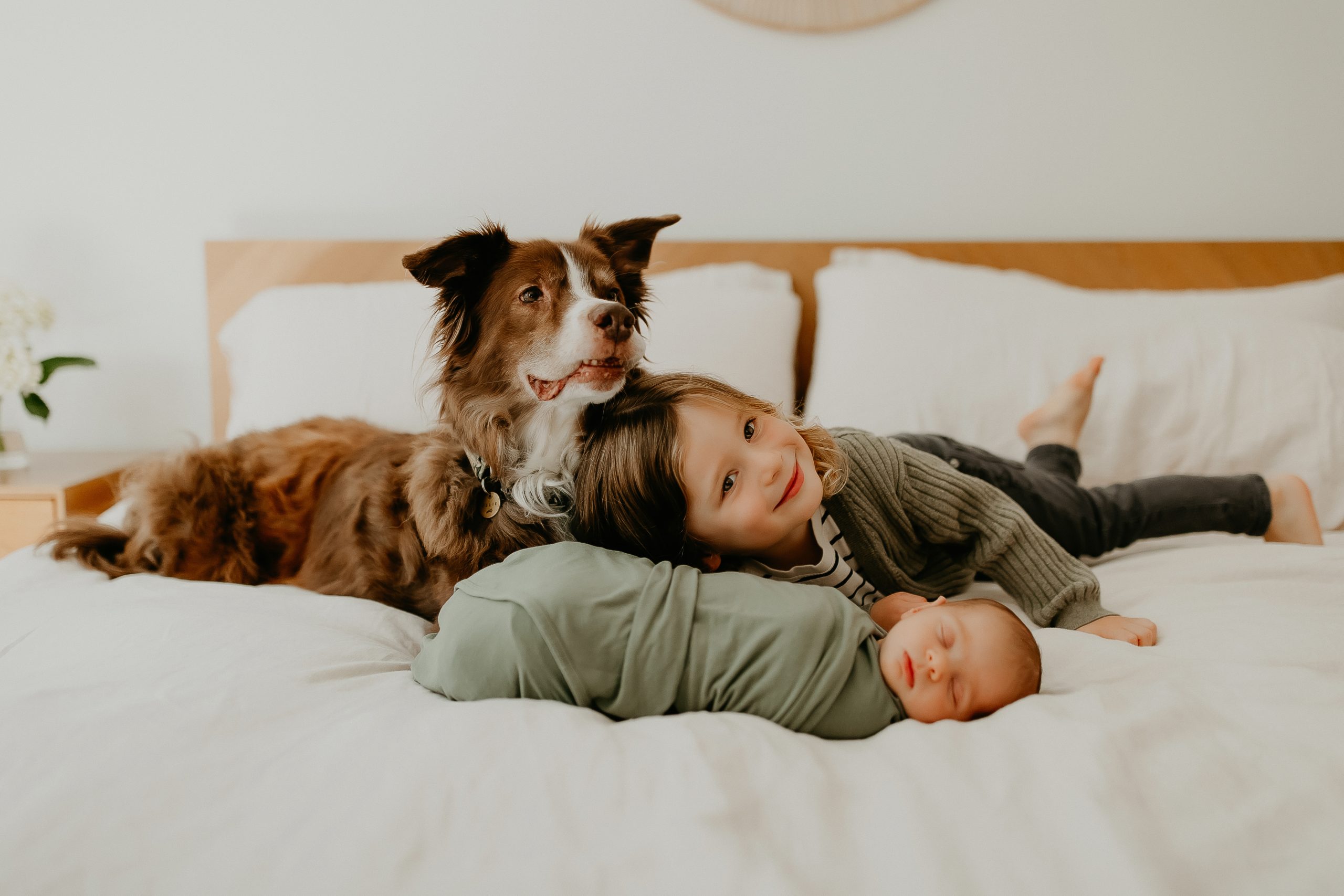 Shefali Parekh | Getting Ready for Your Lifestyle Newborn Photography Session: Tips for New Parents Older sibling kissing newborn baby during a San Francisco lifestyle newborn photography session with dog
