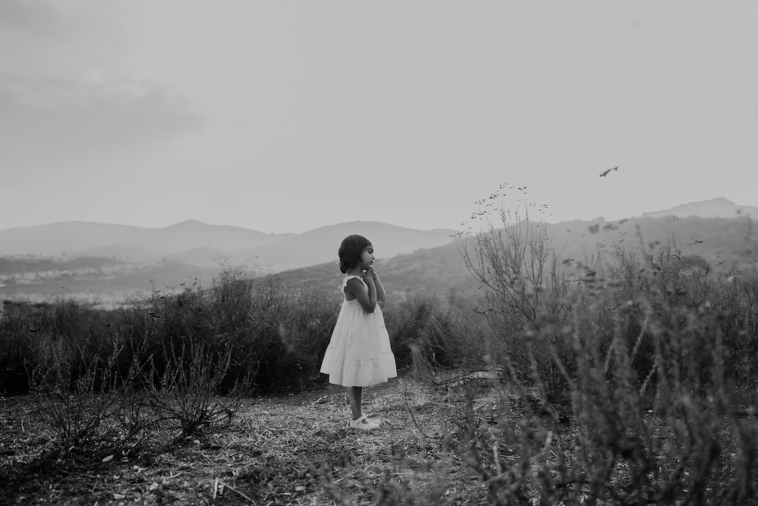 Shefali Parekh | Stress-Free Family Photoshoots: Tips from Your Local Bay Area Family Photographer Preparing for your family photos: helpful tips for a smooth session