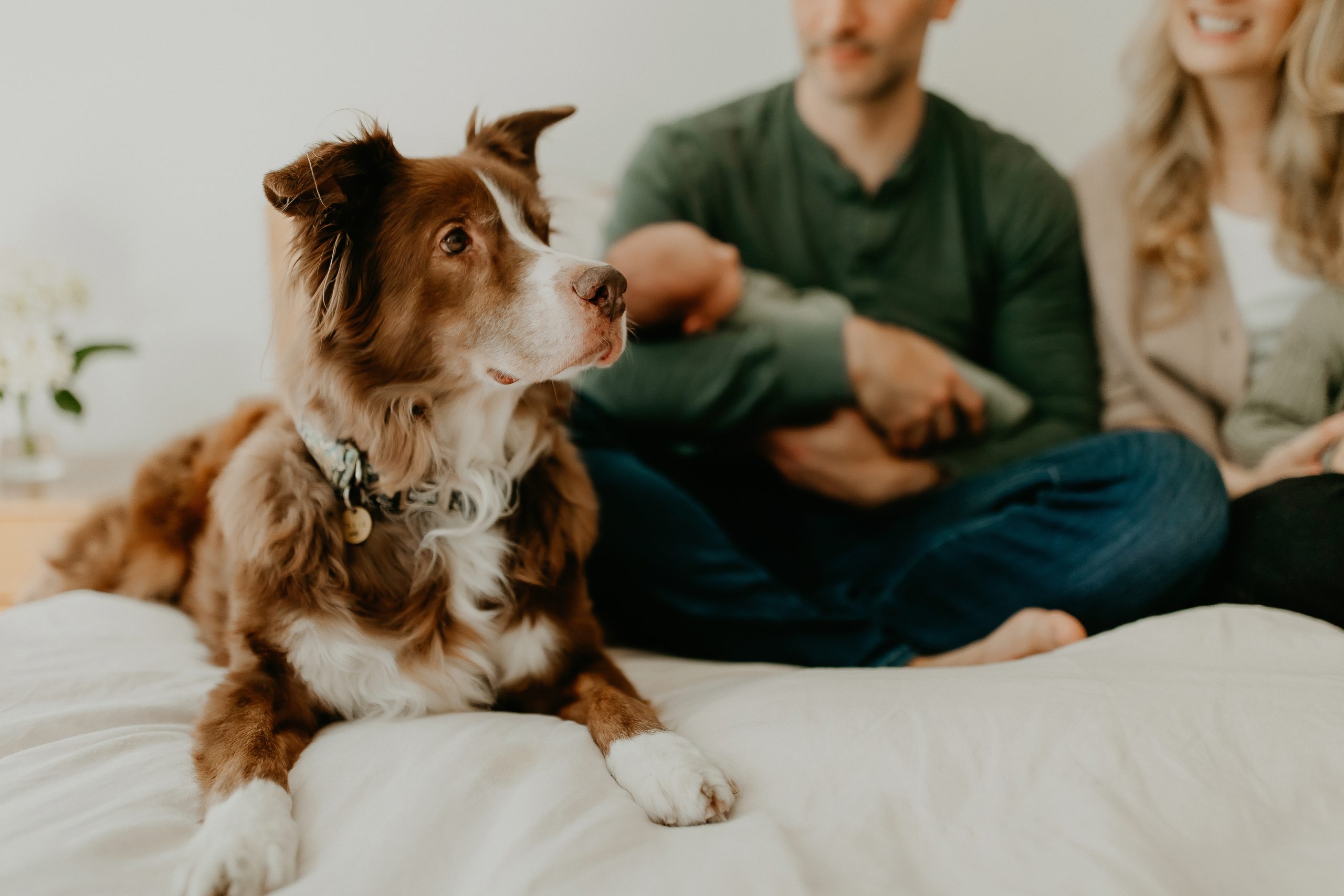 Shefali Parekh | Getting Ready for Your Lifestyle Newborn Photography Session: Tips for New Parents dog with family for in-home newborn photoshoot