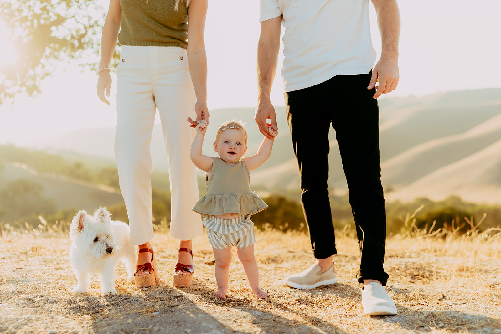 Shefali Parekh | Creating Your Family's Visual Story | Bay Area Photographer Tips Bay Area family photographer documenting a family and their dog enjoying golden hour in a scenic field