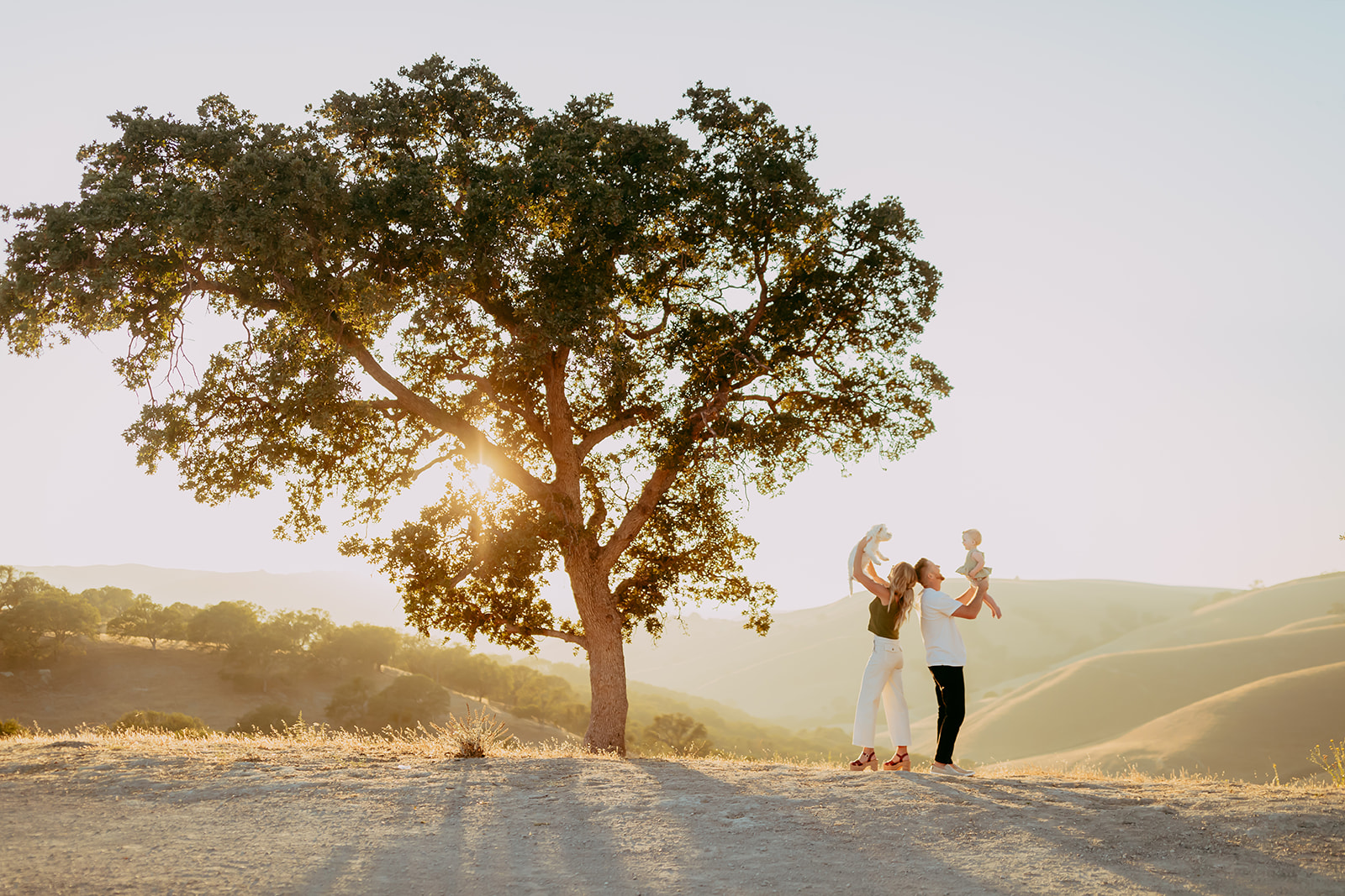 Shefali Parekh | Creating Your Family's Visual Story | Bay Area Photographer Tips Shefali Parekh, Bay Area family photographer, documenting a family and their dog enjoying golden hour in a field