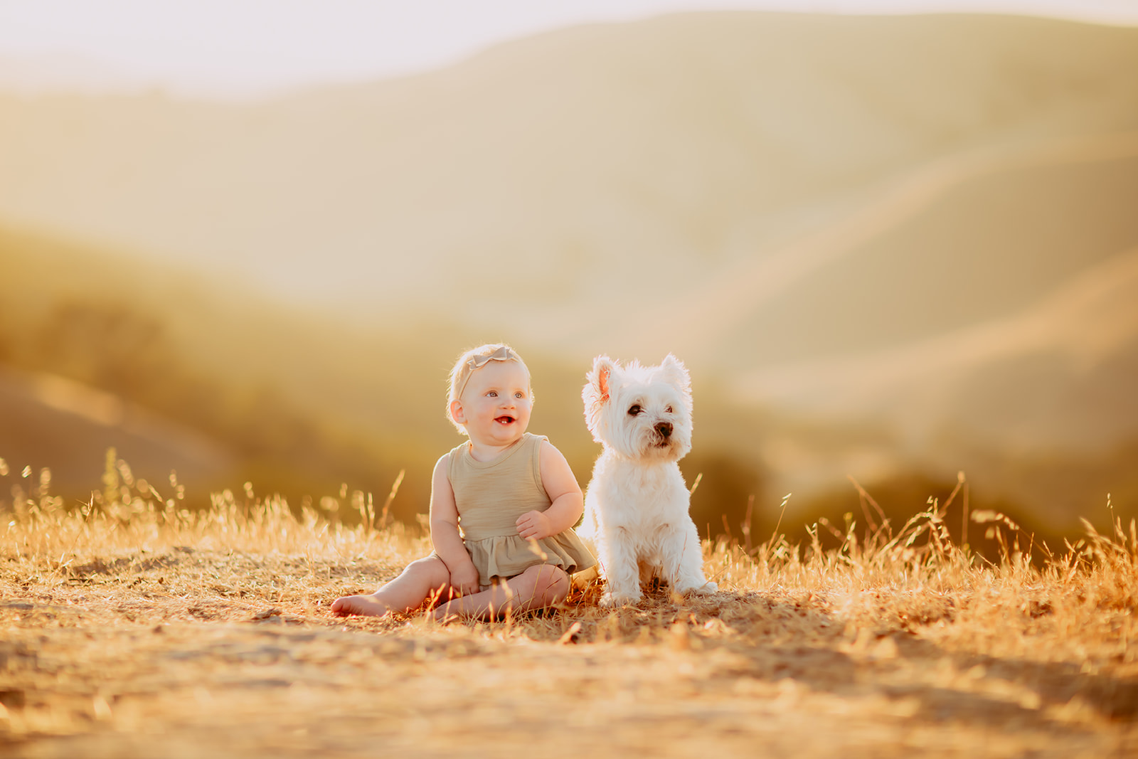 Shefali Parekh | Creating Your Family's Visual Story | Bay Area Photographer Tips Capturing everyday moments of a family and their dog in a field at golden hour with a Bay Area photographer