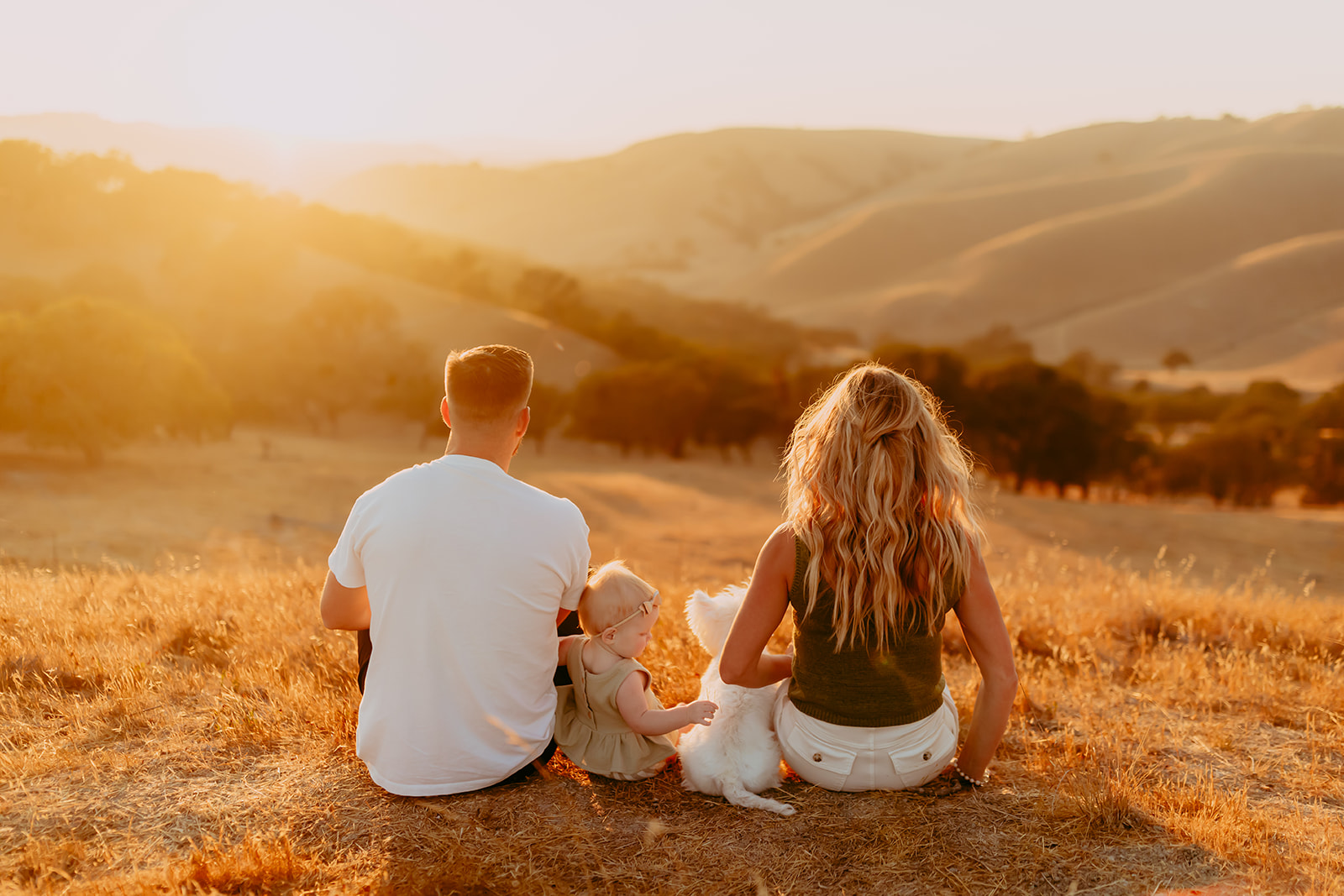 Shefali Parekh | Creating Your Family's Visual Story | Bay Area Photographer Tips Bay Area family photographer capturing a family of three and their dog at sunset in a field