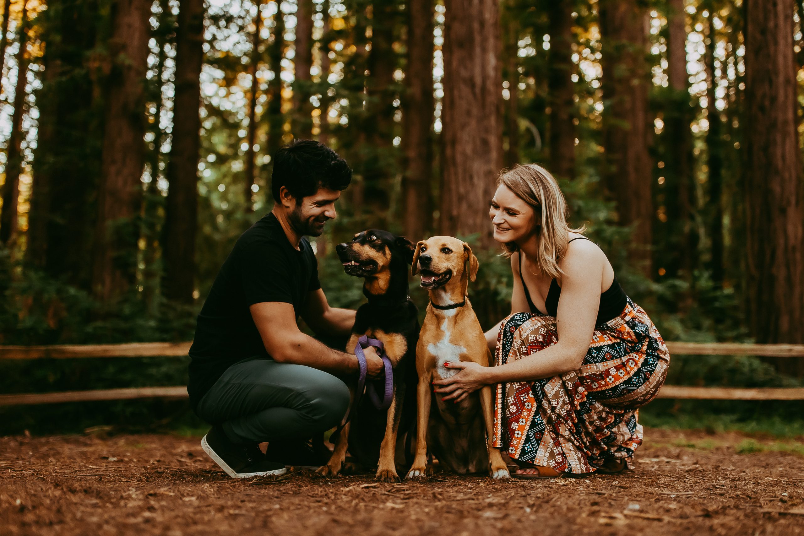 Shefali Parekh | Why You Need a San Francisco Pet Photographer pet family portraits in oakland california
