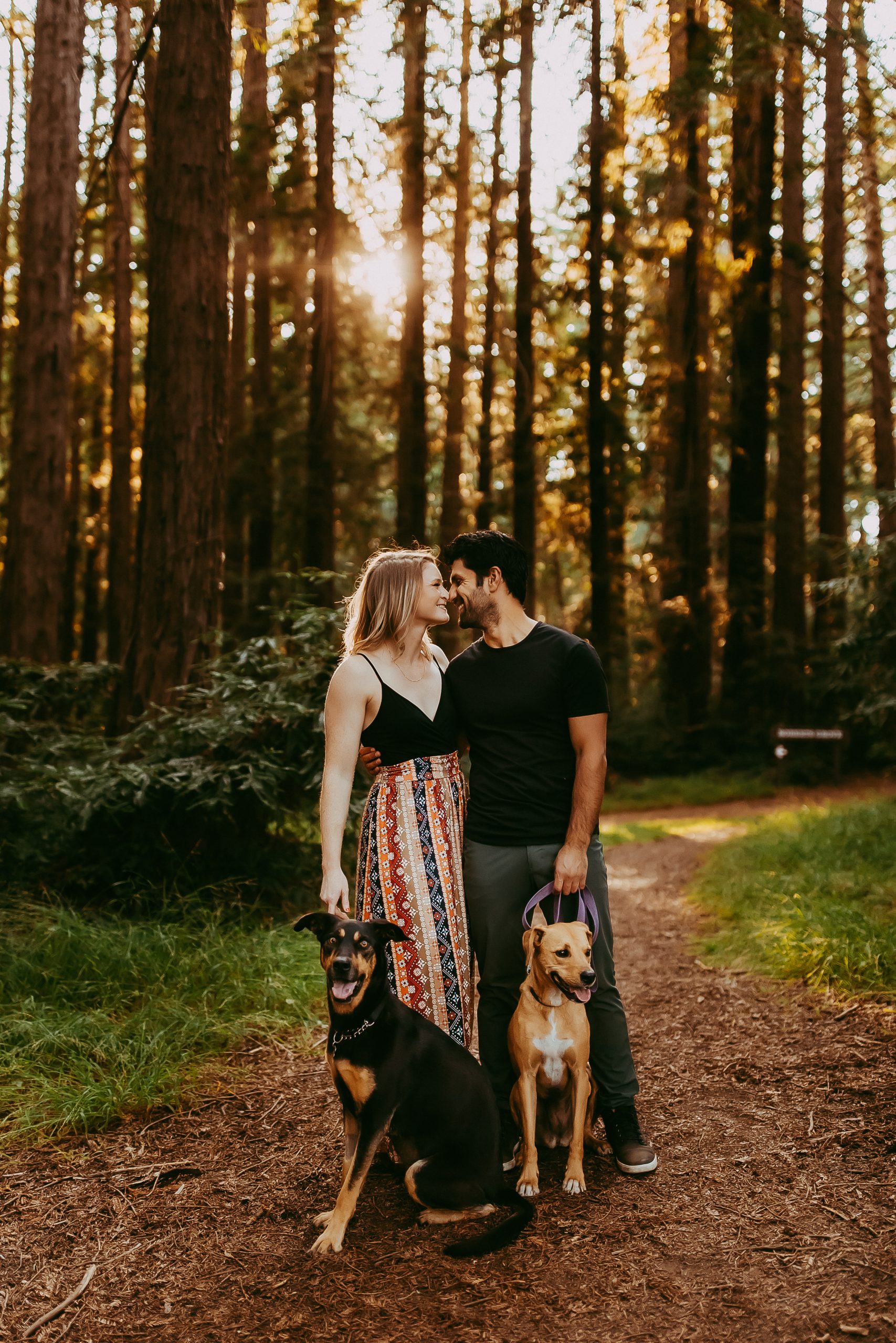 Shefali Parekh | Why You Need a San Francisco Pet Photographer Family and dog in Bay Area