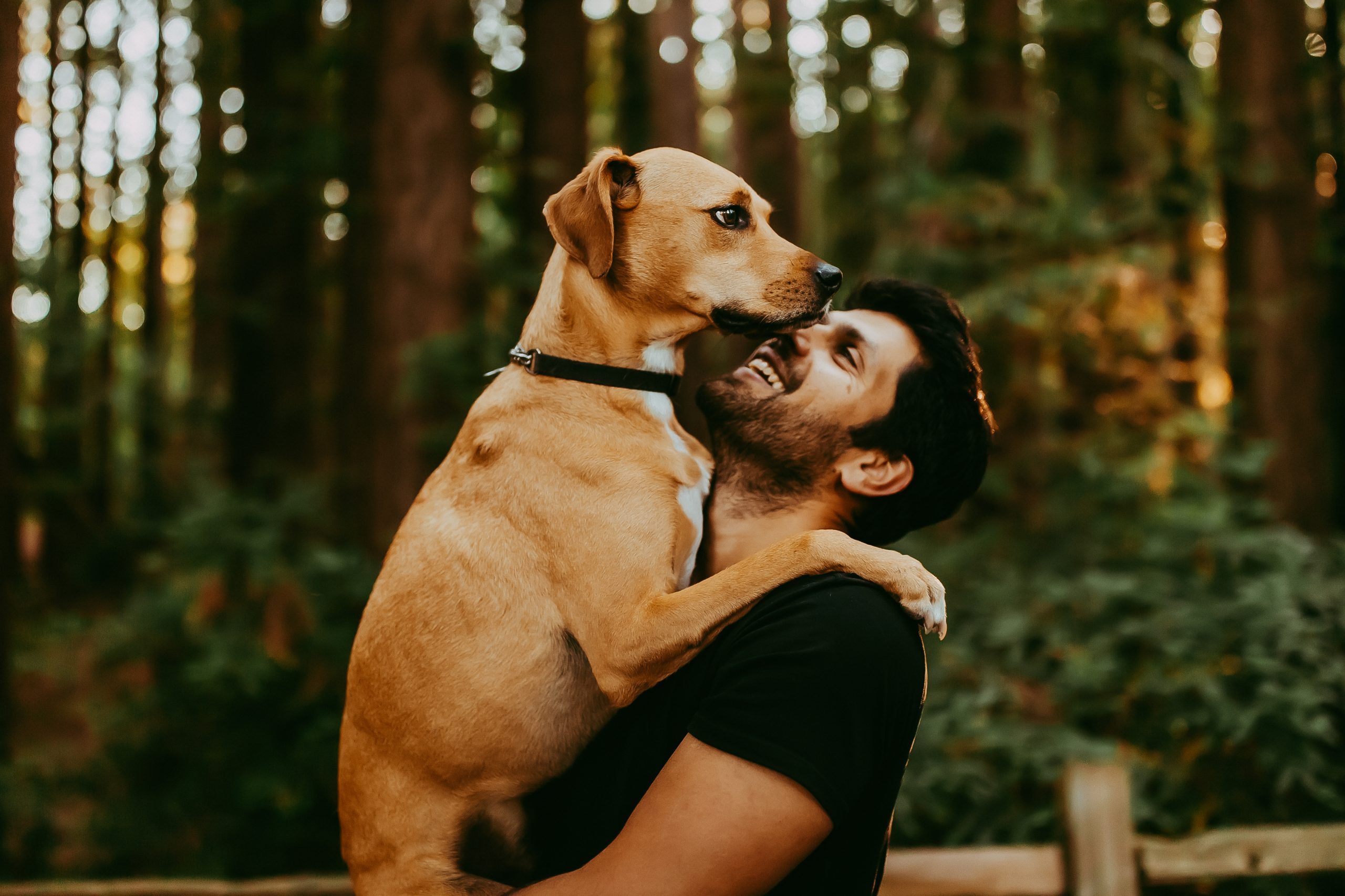 Shefali Parekh | Why You Need a San Francisco Pet Photographer best pose for pet photography dad holding dog