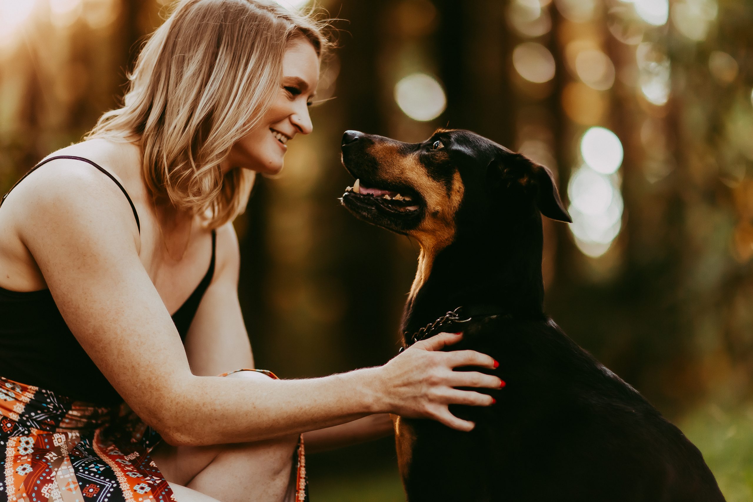 Shefali Parekh | Why You Need a San Francisco Pet Photographer Katie Wright Pet Family Photography Session