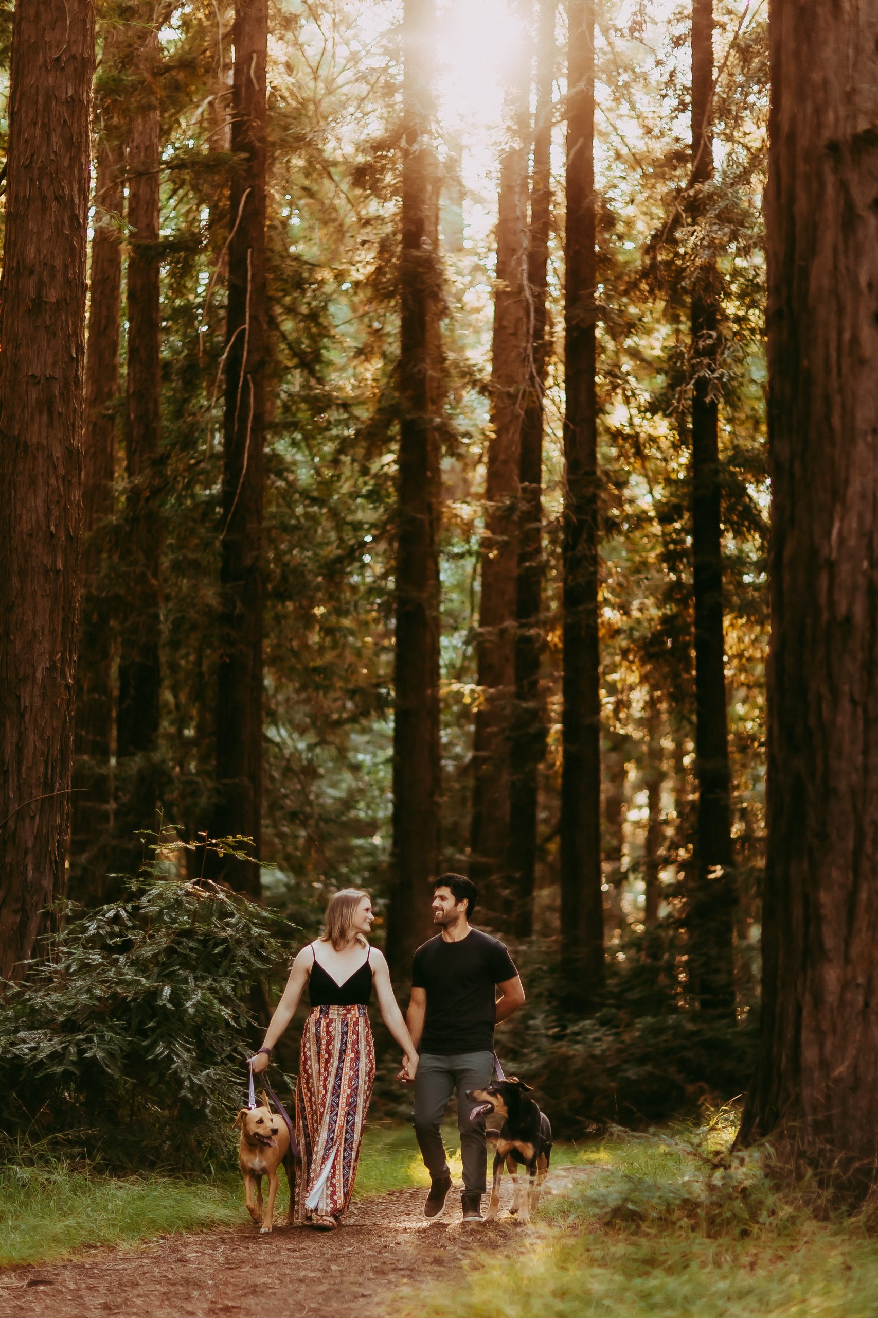 Shefali Parekh | Why You Need a San Francisco Pet Photographer bay area family photography with two dogs