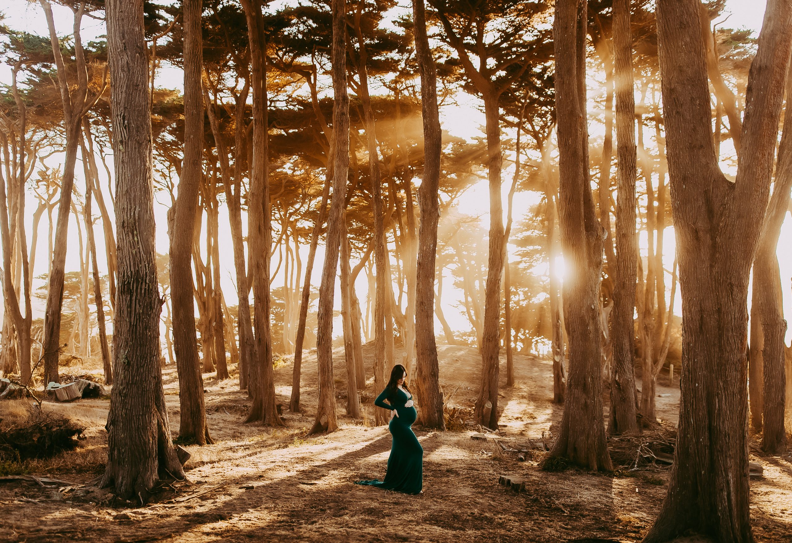 Solo maternity photoshoot in Lands End with soft natural light