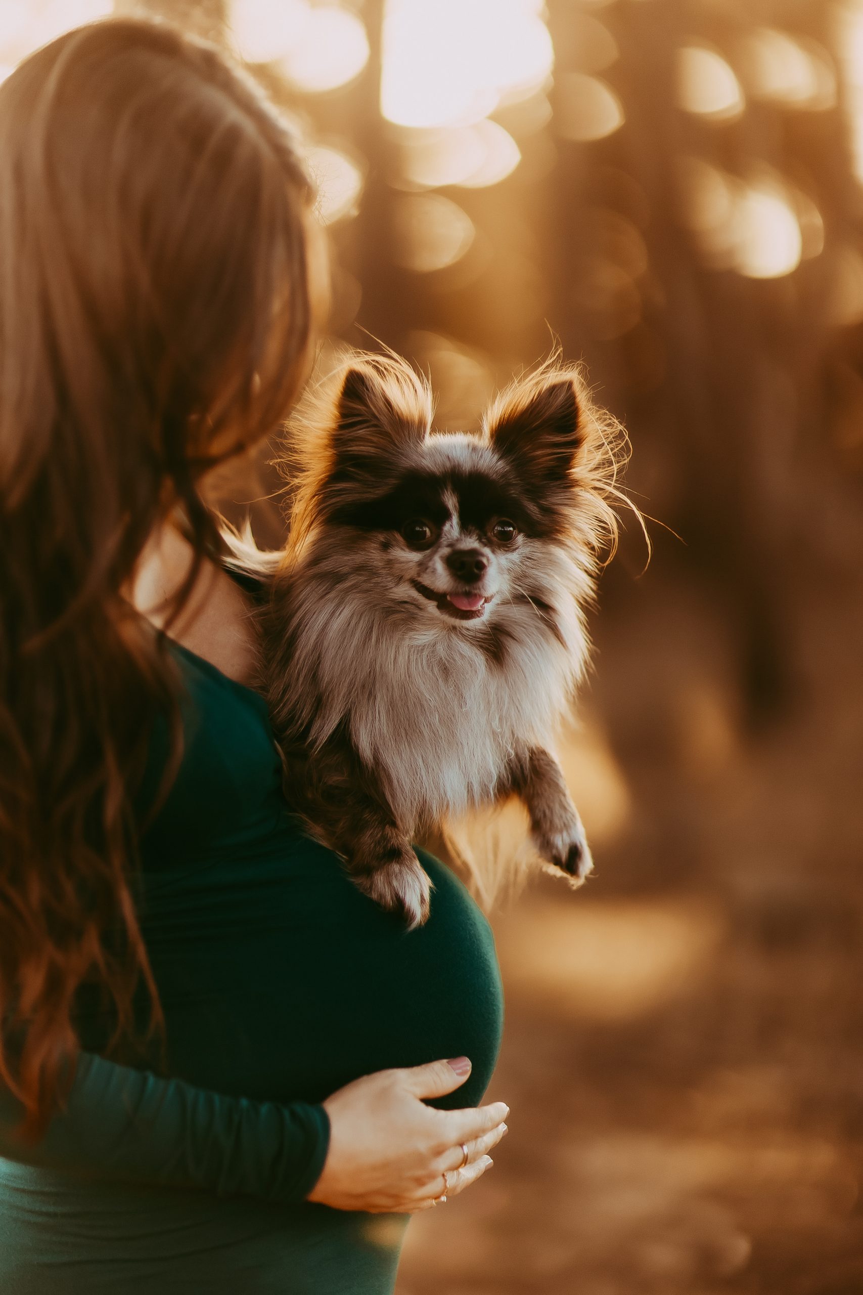 Sweet maternity moment featuring a dog resting on mom’s baby bump