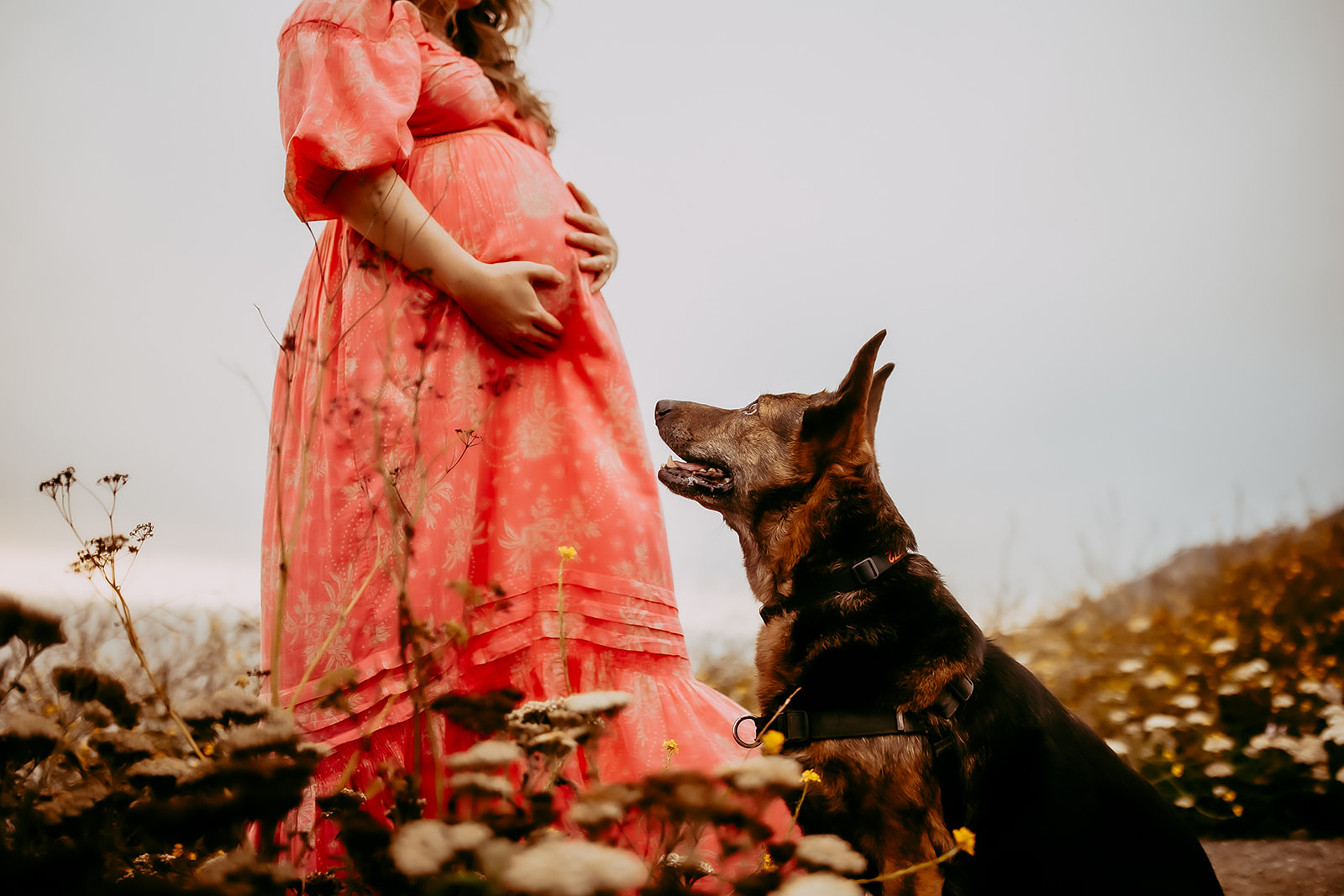 Katie Hill Maternity Session