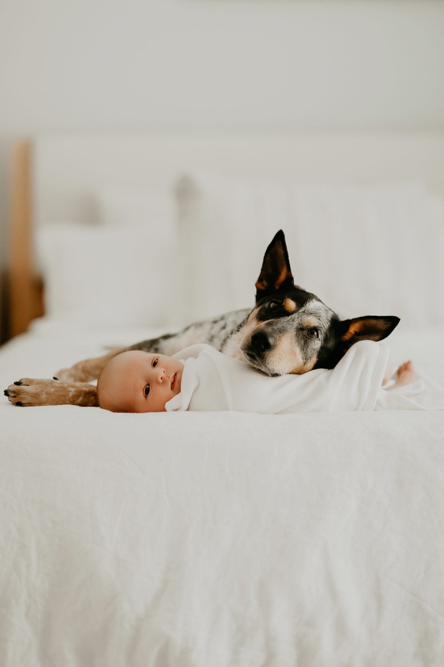 Shefali Parekh | Newborn Photographer Kristina & Jake Newborn Session