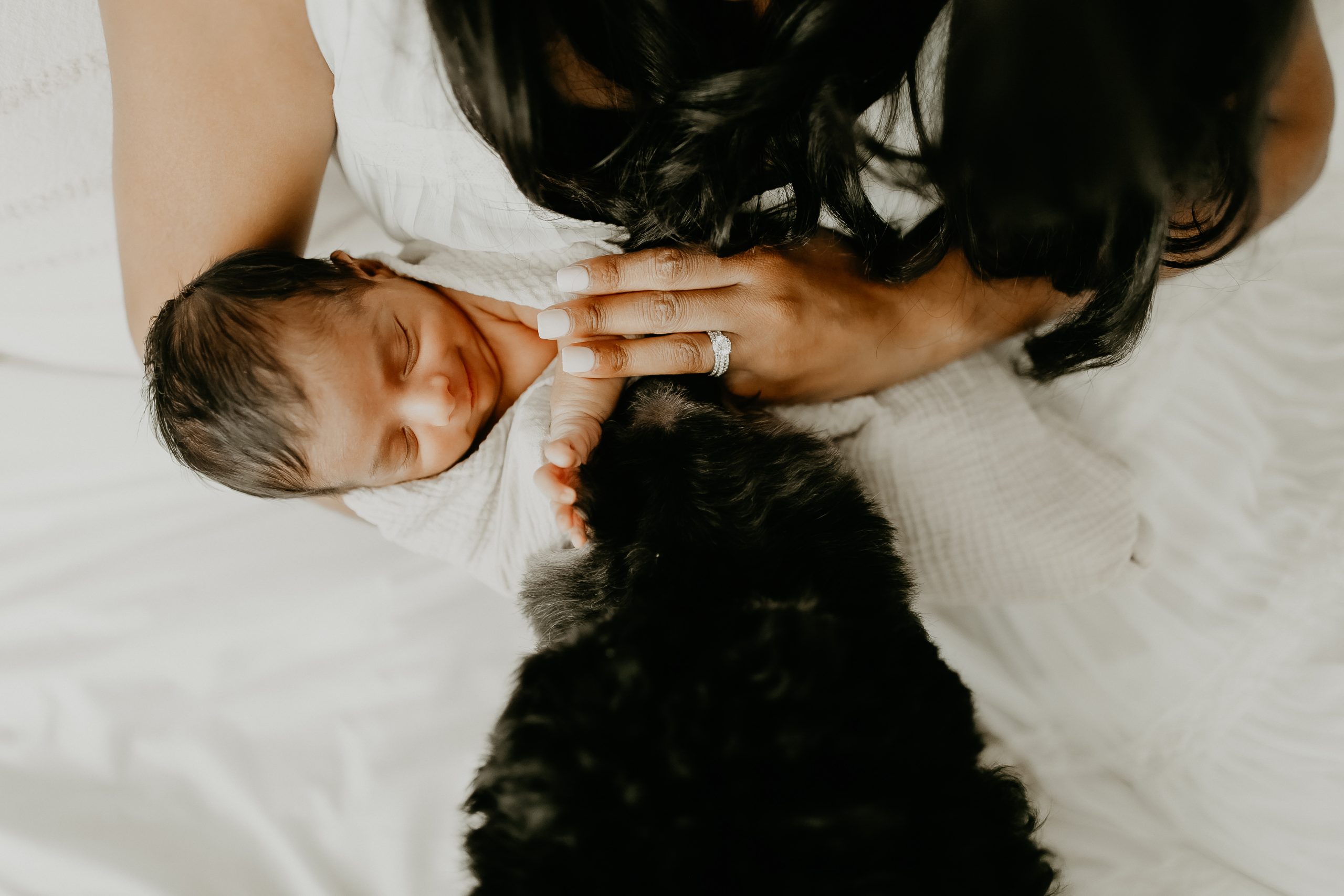 Shefali Parekh | Newborn Photography Trends in San Francisco: What's Popular in 2025 Protective family dog lying next to a newborn baby during an intimate in-home newborn session in San Francisco.