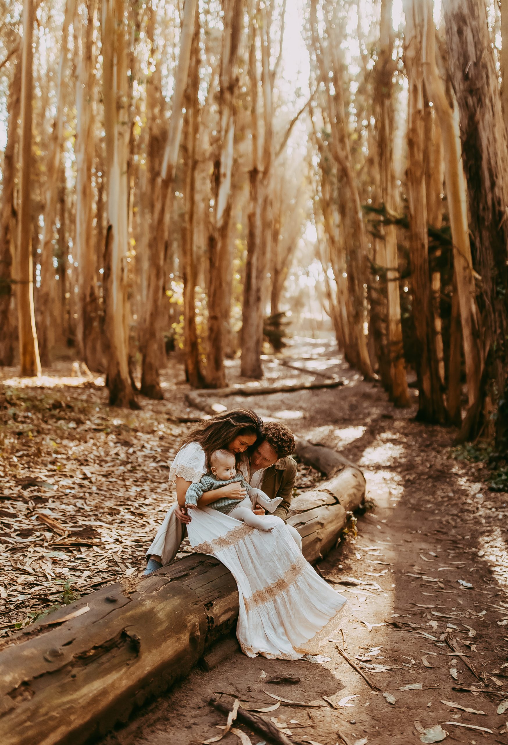 Shefali Parekh | Lovers Lane, San Francisco Family Photography Session Parents laughing with baby while sitting on a log at Lovers Lane
