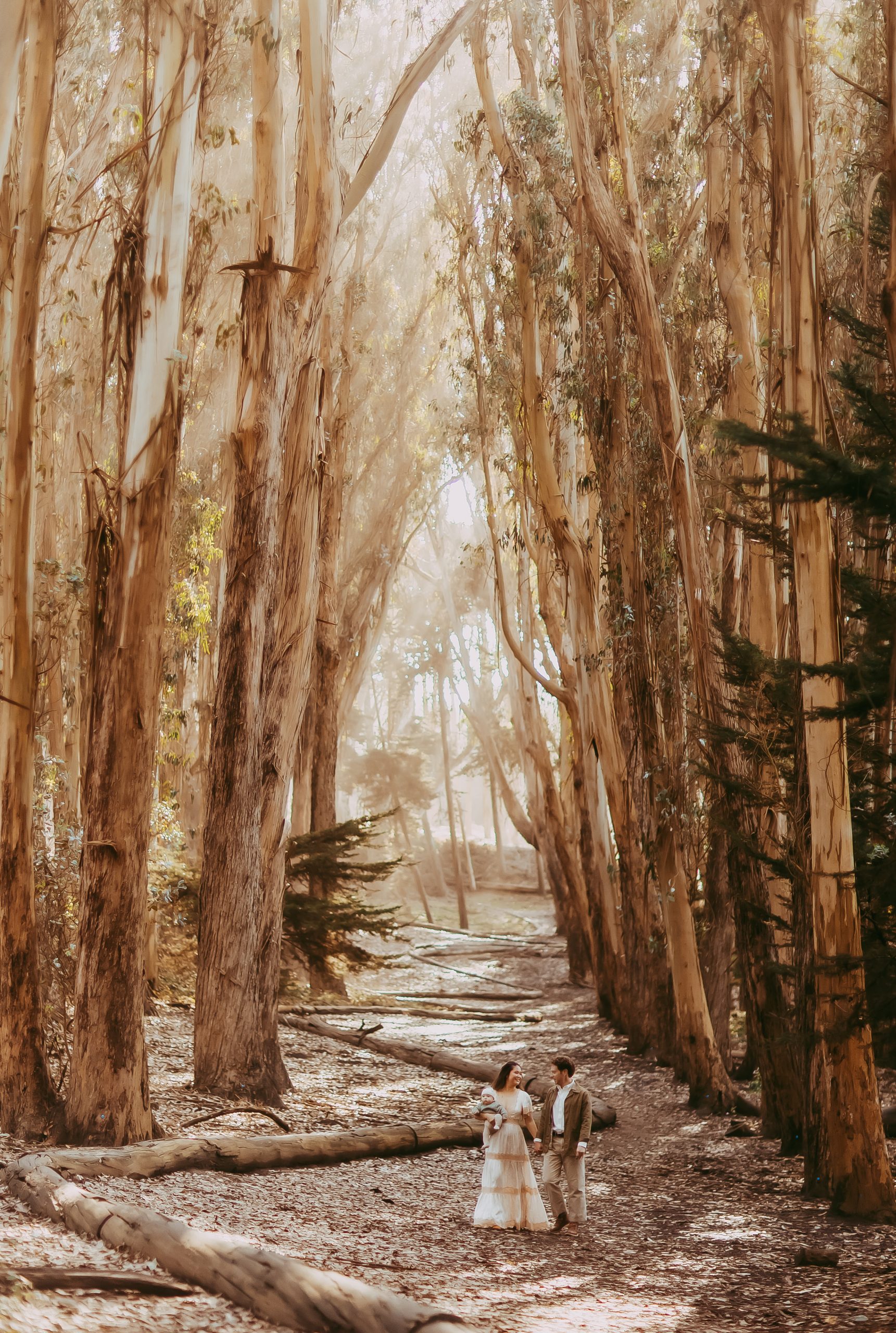 Shefali Parekh | Lovers Lane, San Francisco Family Photography Session Family of three walking hand-in-hand along the Lovers Lane trail