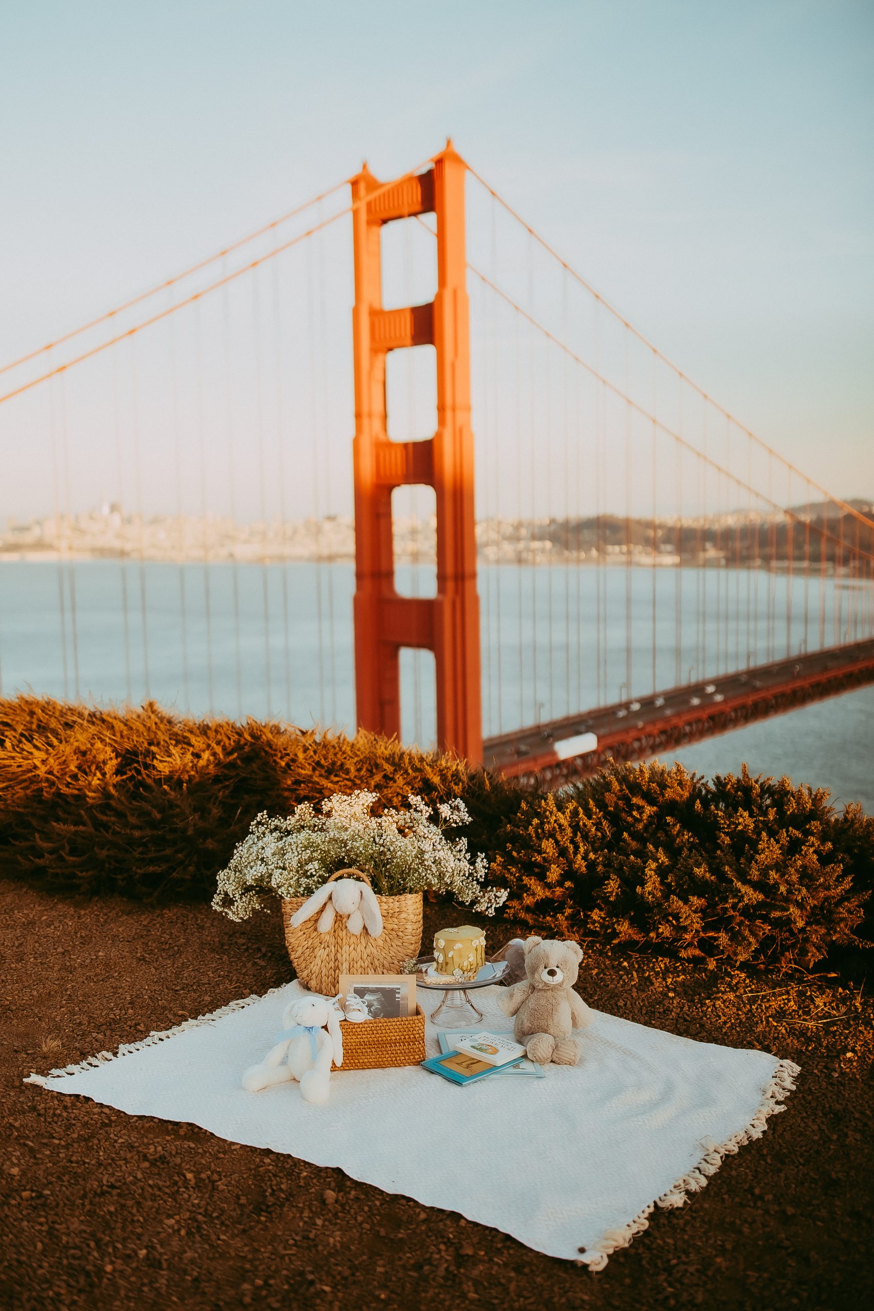 Shefali Parekh | Picnic Gender Reveal | Marin County Maternity Photographer Colorful picnic setup for outdoor maternity photoshoot in the Marin Headlands, Bay Area