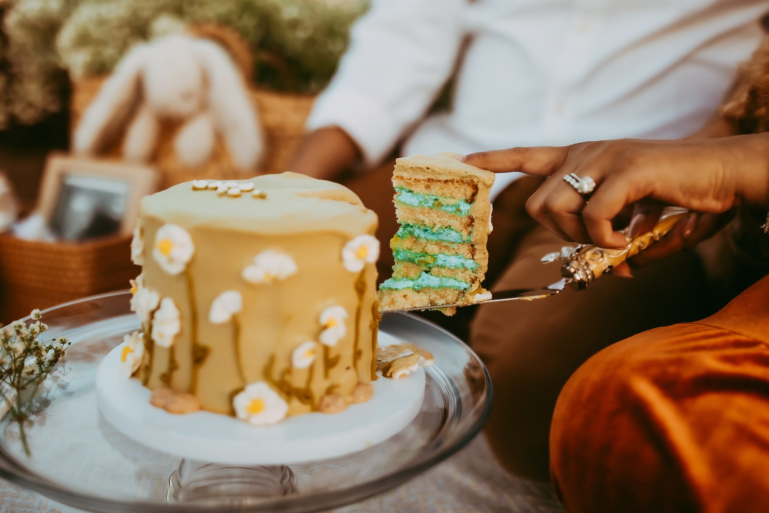 Shefali Parekh | Picnic Gender Reveal | Marin County Maternity Photographer unique maternity session outdoor picnic golden gate bridge